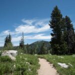 Find Hikes Near You