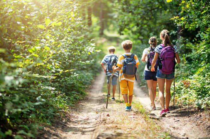 Fun Hiking Trails