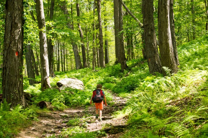 Hiking Parks Near Me