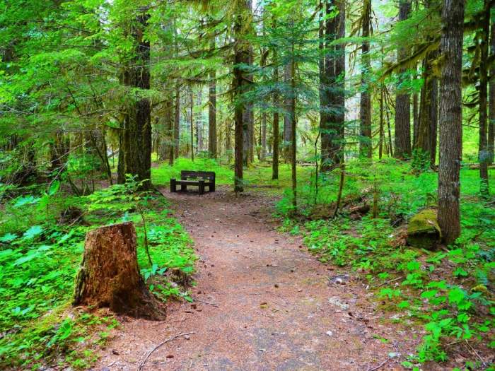 Hiking And Camping Trails