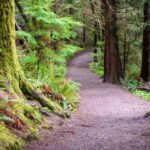 Local Places To Hike