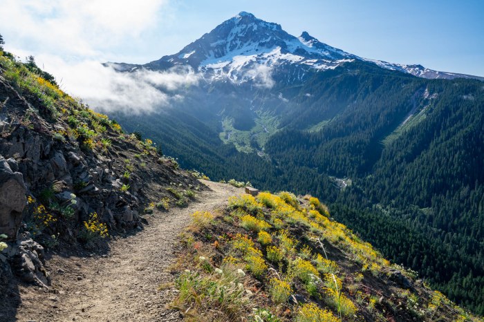 Hiking Views