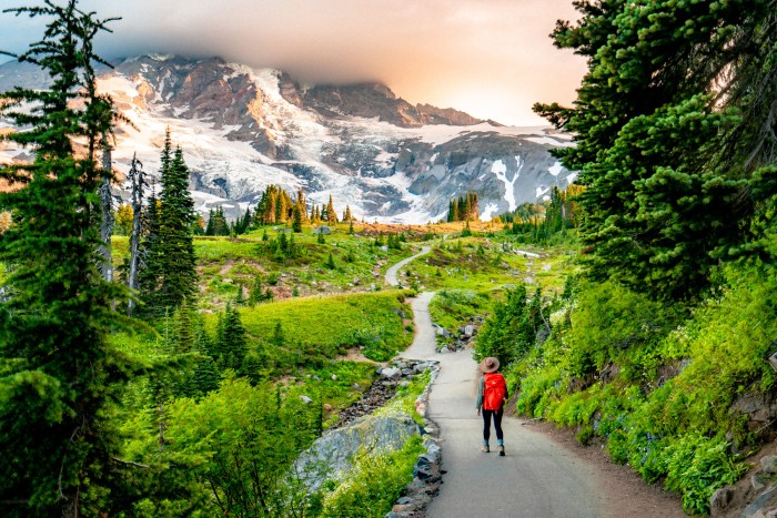 Scenic Hiking Trails