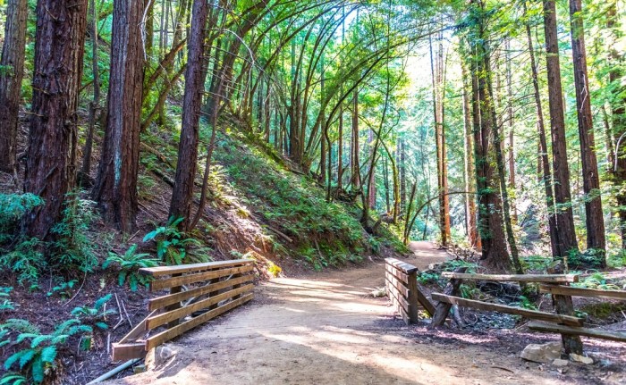 Where To Hike Near Me