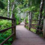 Minnesota Hiking Trails