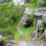 Trails For Hiking Near Me