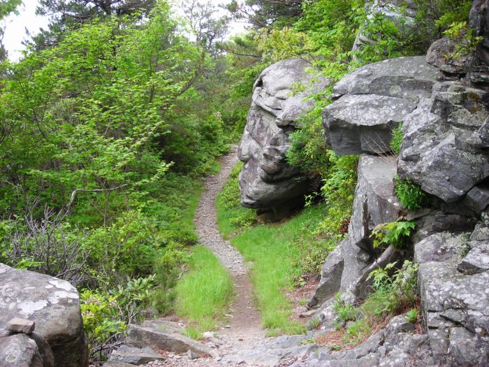 Great Hikes Near Me