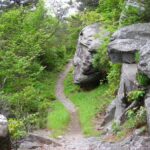 Waterfall Trails Near Me