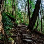 Walking And Hiking Trails Near Me