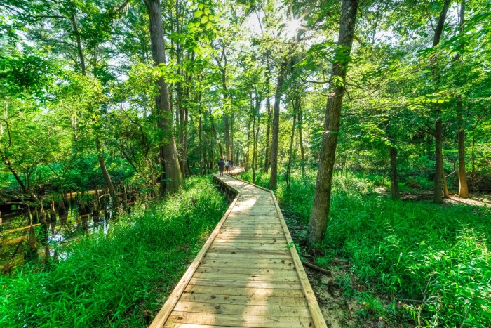 Nature Trails Near Me