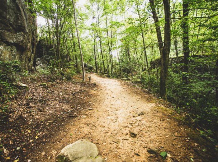 Good Walking Trails Near Me