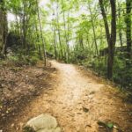 Best Walking Trails Near Me